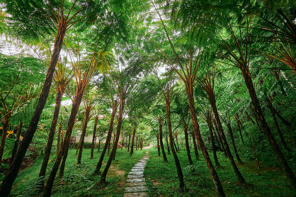 8D7N Northern Thailand Chiang Rai & Chiang Mai - photo 13